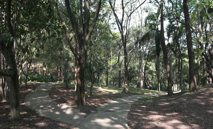 instalação de cerca concertina no Parque São Domingos