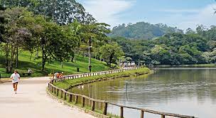 instalação de cerca concertina no Parque do Carmo