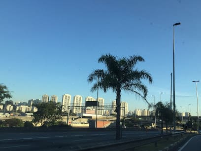 instalação de cerca concertina no Pirituba